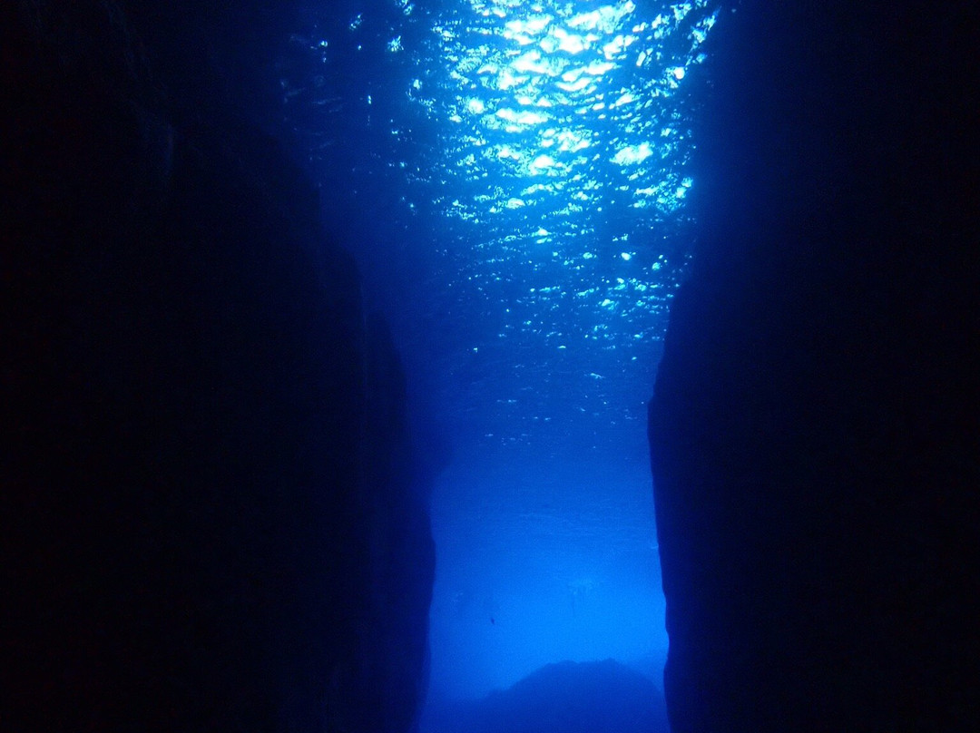 Dwejra Divers-圣劳伦斯必去景点