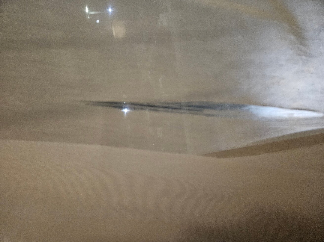 Holiday Inn Express & Suites Lonoke I-40 (exit 175) By IHG主图