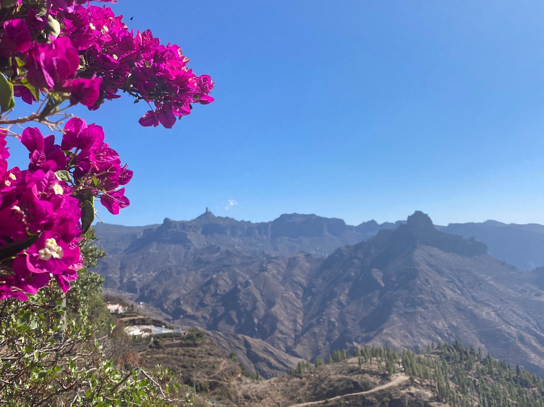 Mirador de Unamuno景点图片