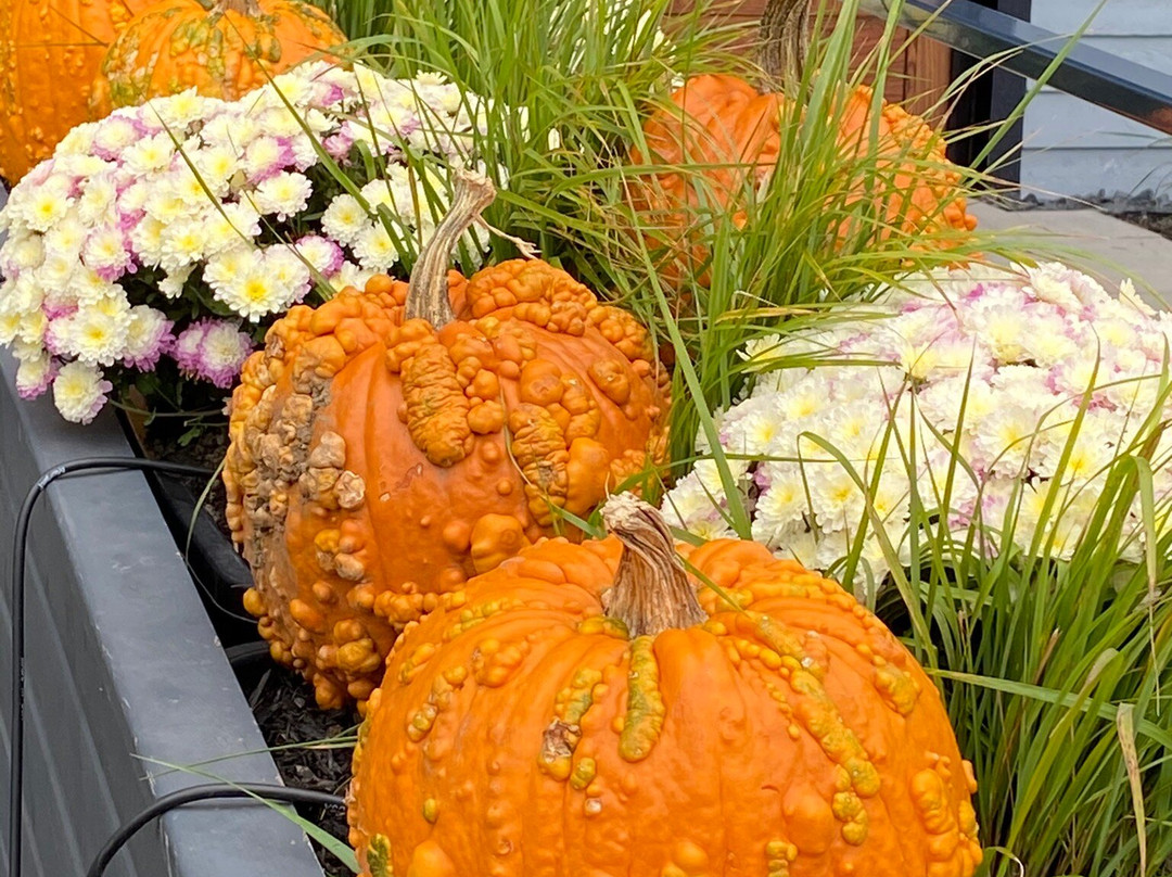 Sommet Saint-Sauveur-Saint Sauveur des Monts必去景点