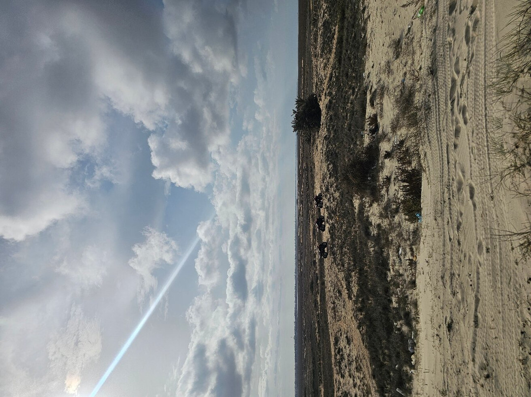 Quad Evasion et Passion-米栋必去景点