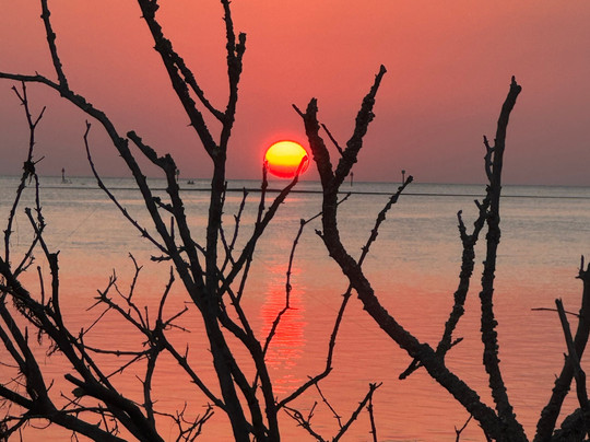 Nature Coast Inn & Cottages主图