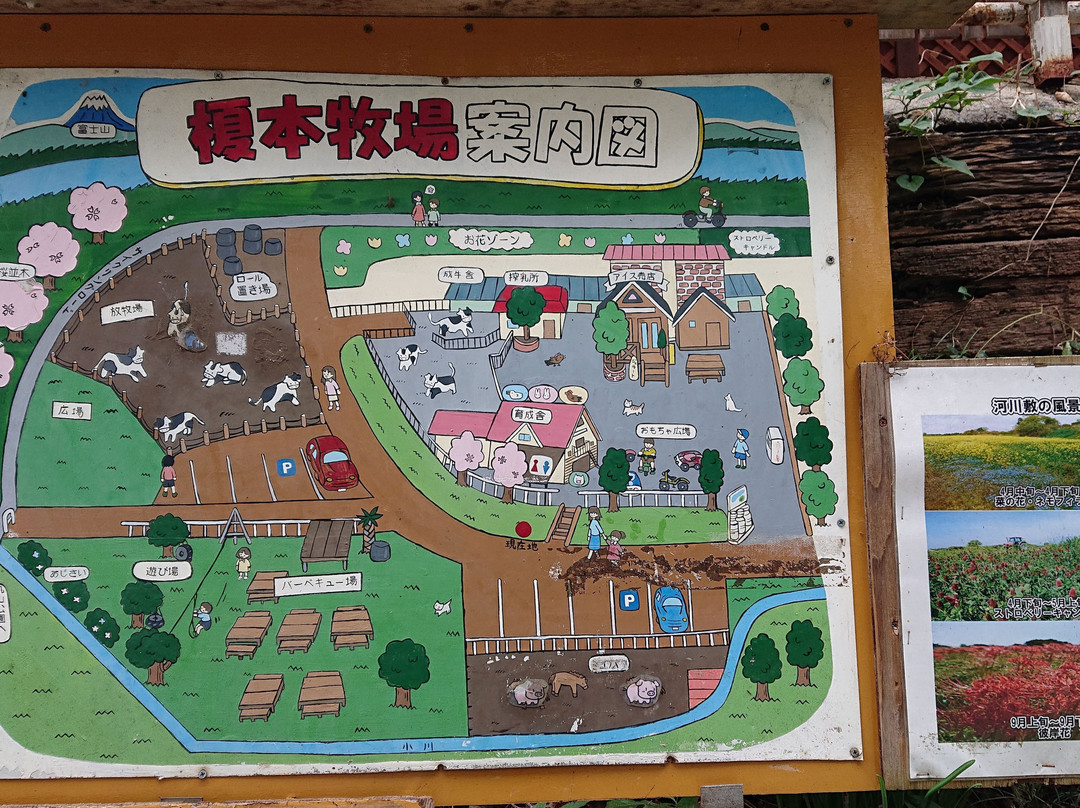 Enomoto Diaryfarm-上尾市必去景点