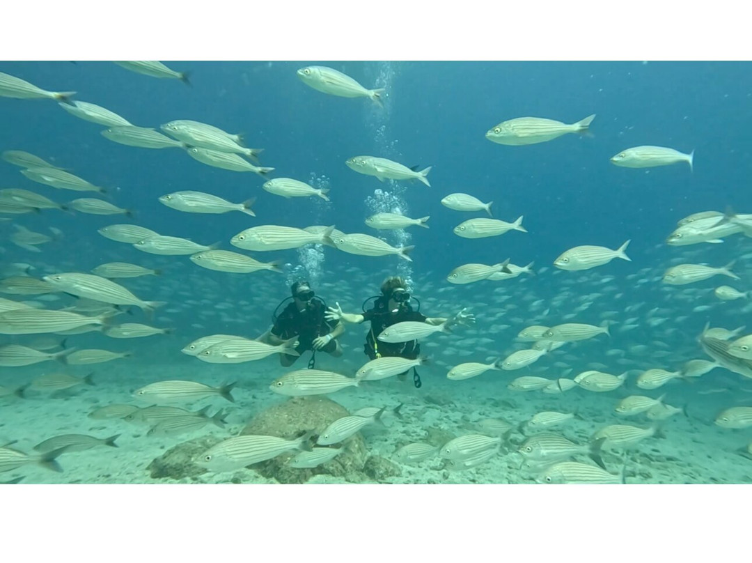 Blue Nation-洛雷托必去景点