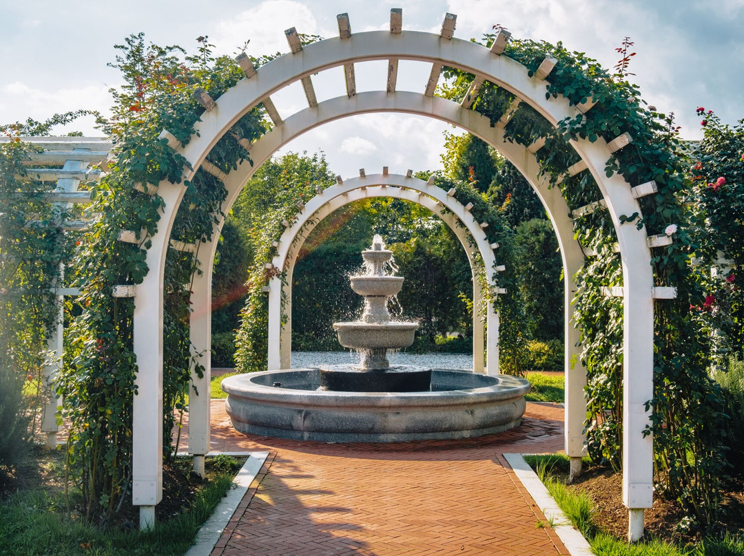 Suncheon Bay Garden-顺天市必去景点
