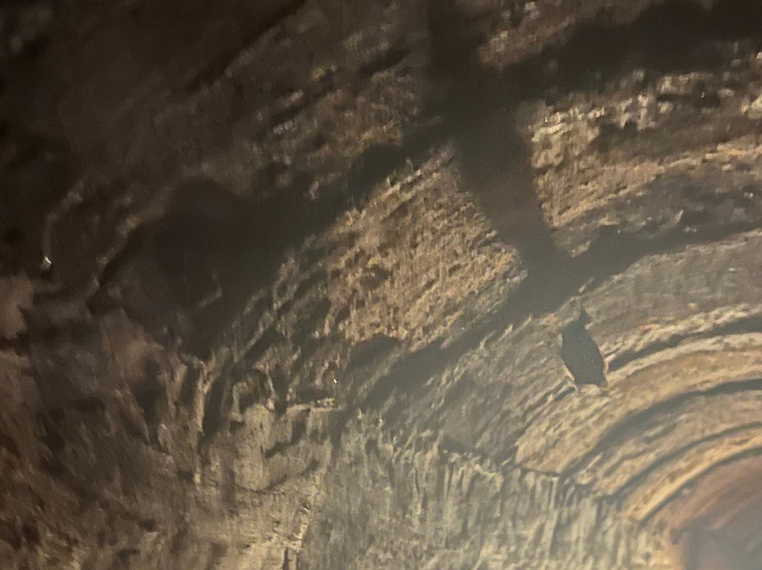 Long Phuoc Tunnels-Ba Ria必去景点