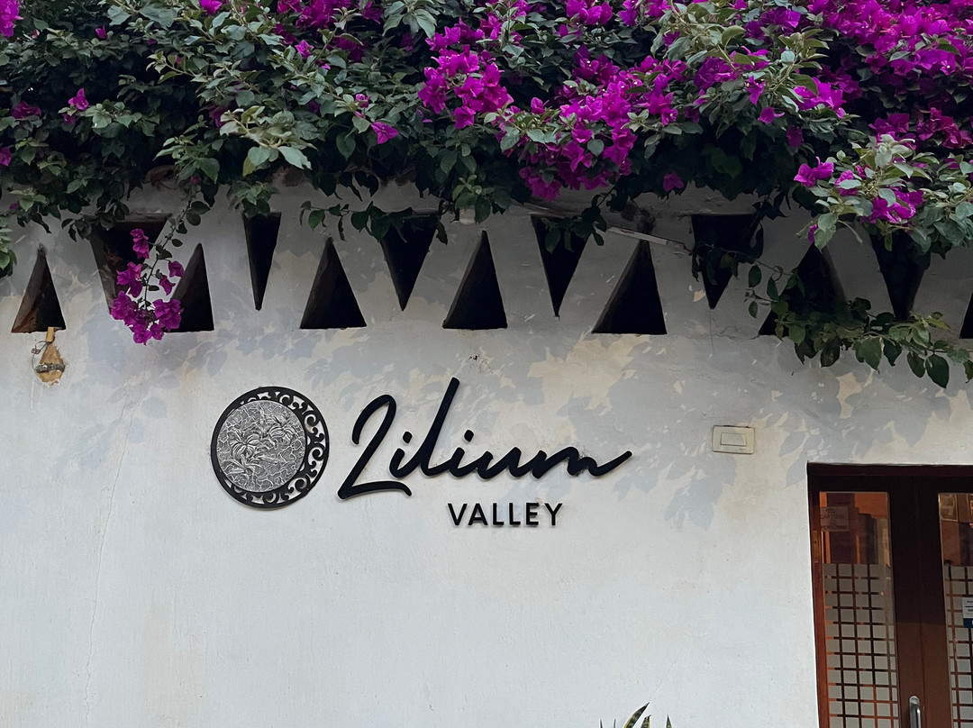 Hotel Lilium Valley主图