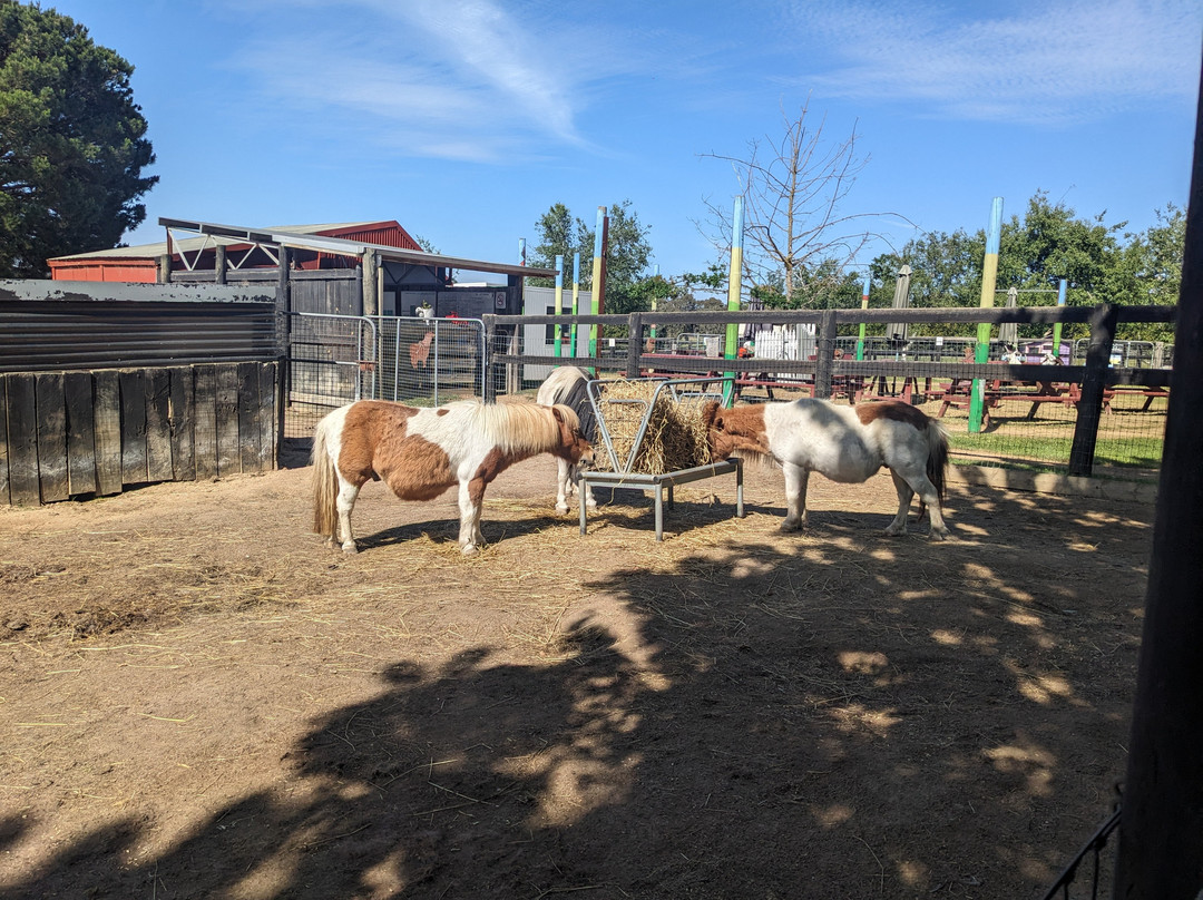 Edgar's Mission-Lancefield必去景点