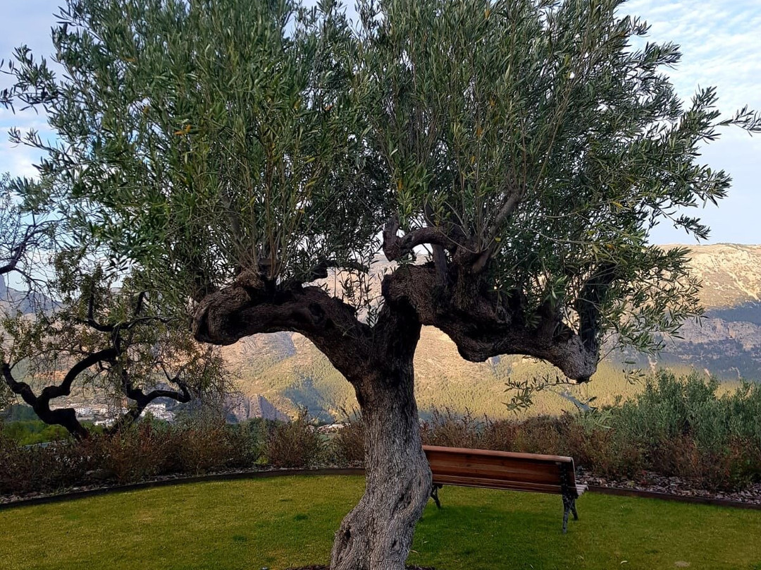 Bodega Masos Guadalest景点图片