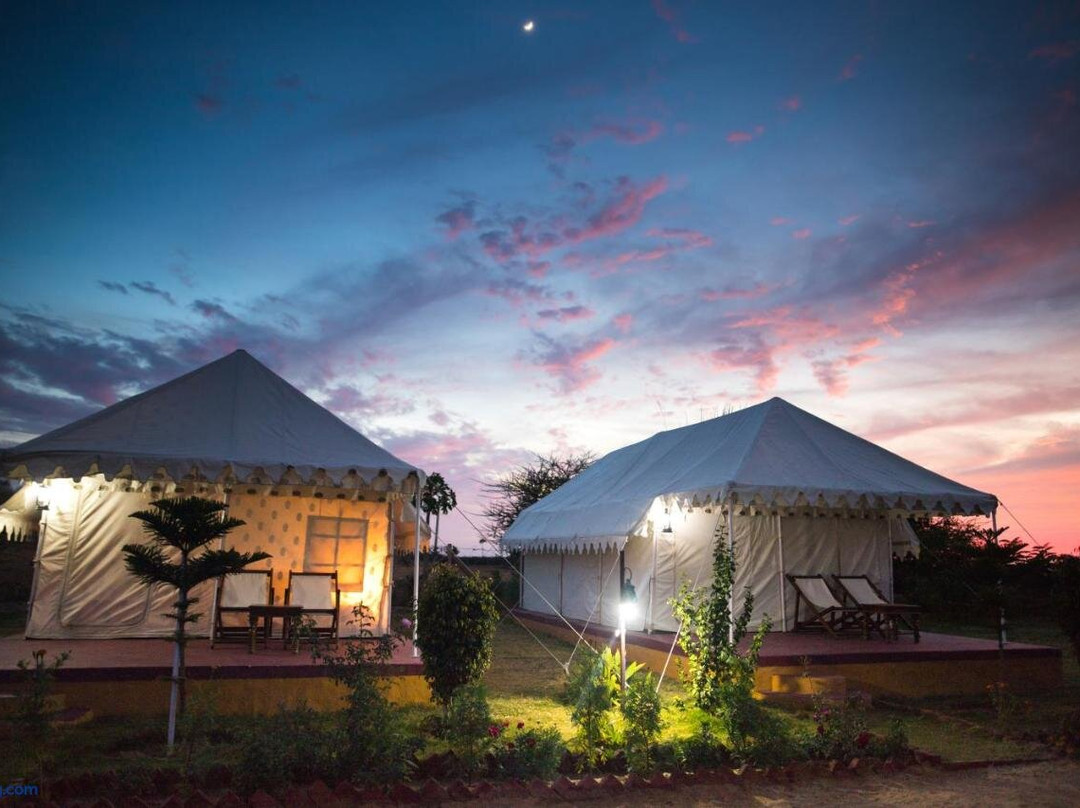 Pushkar Adventure Camp and Camel Safari