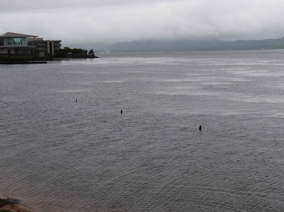 Shinji Lake-岛根县必去景点