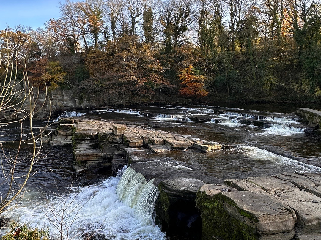 Richmond Falls景点图片