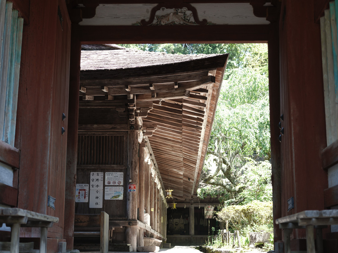 Yoshino Mikumari Shrine景点图片