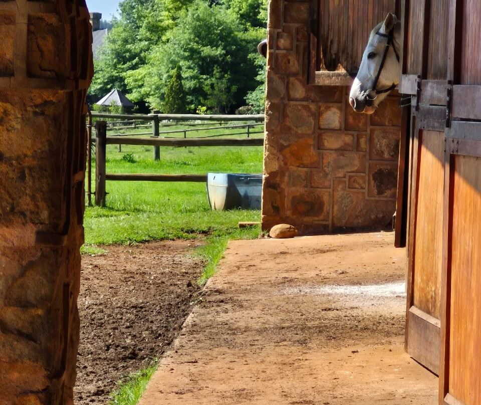 Dullstroom Horse Riding Centre-德尔斯特鲁姆必去景点