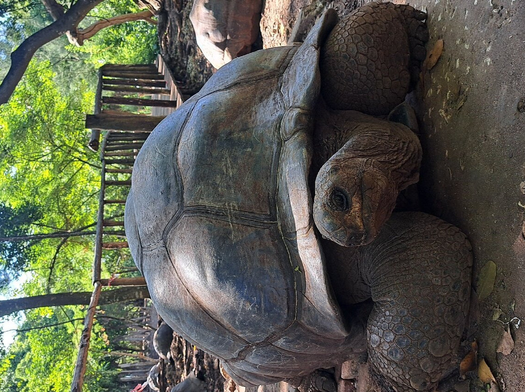Zan Oasis Tour and Safaris-桑给巴尔岛必去景点