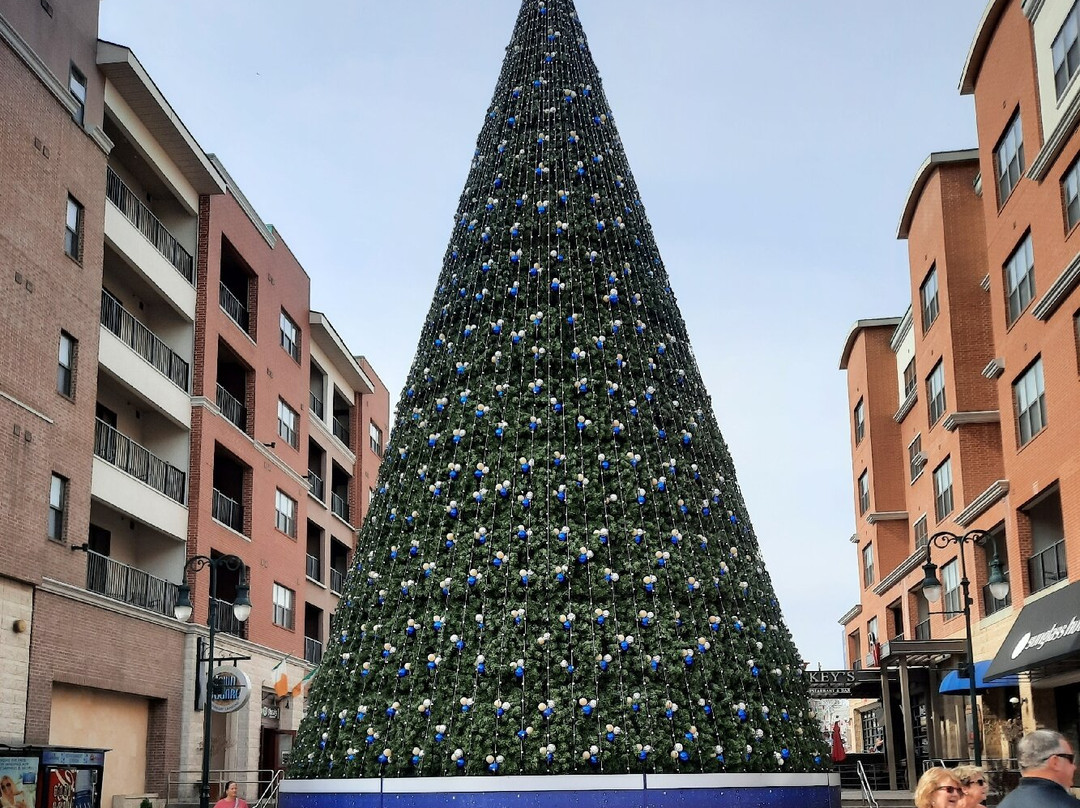 Branson Landing-布兰森必去景点