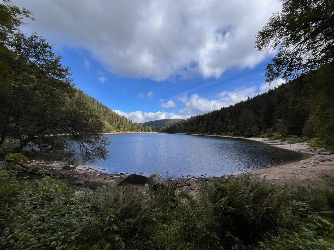 Le Lac des Corbeaux-La Bresse必去景点
