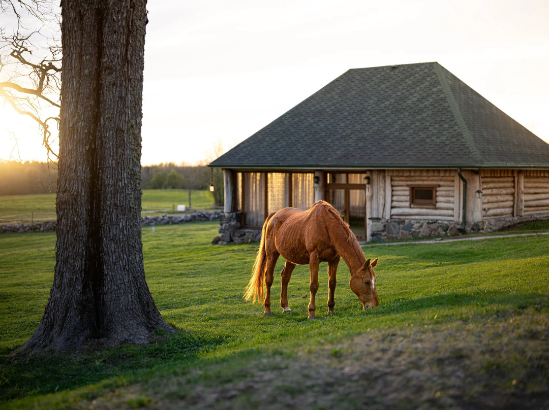 Metsapiiga Talu - Horse riding centre