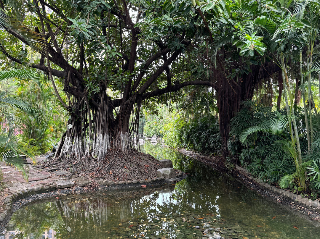 岐江公园-中山市必去景点