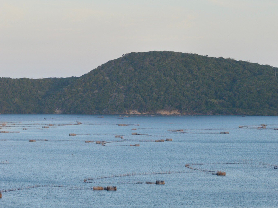 Safari and Surf-圣露西亚必去景点