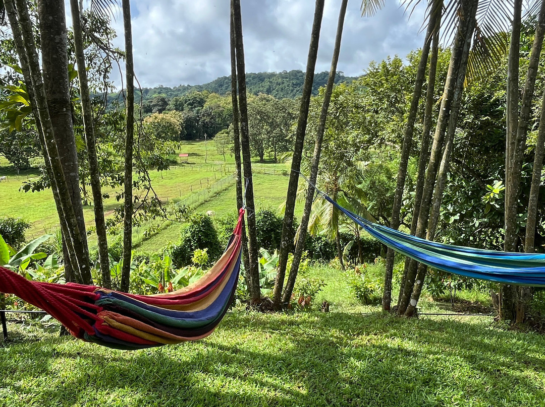 Hacienda Las Colinas景点图片