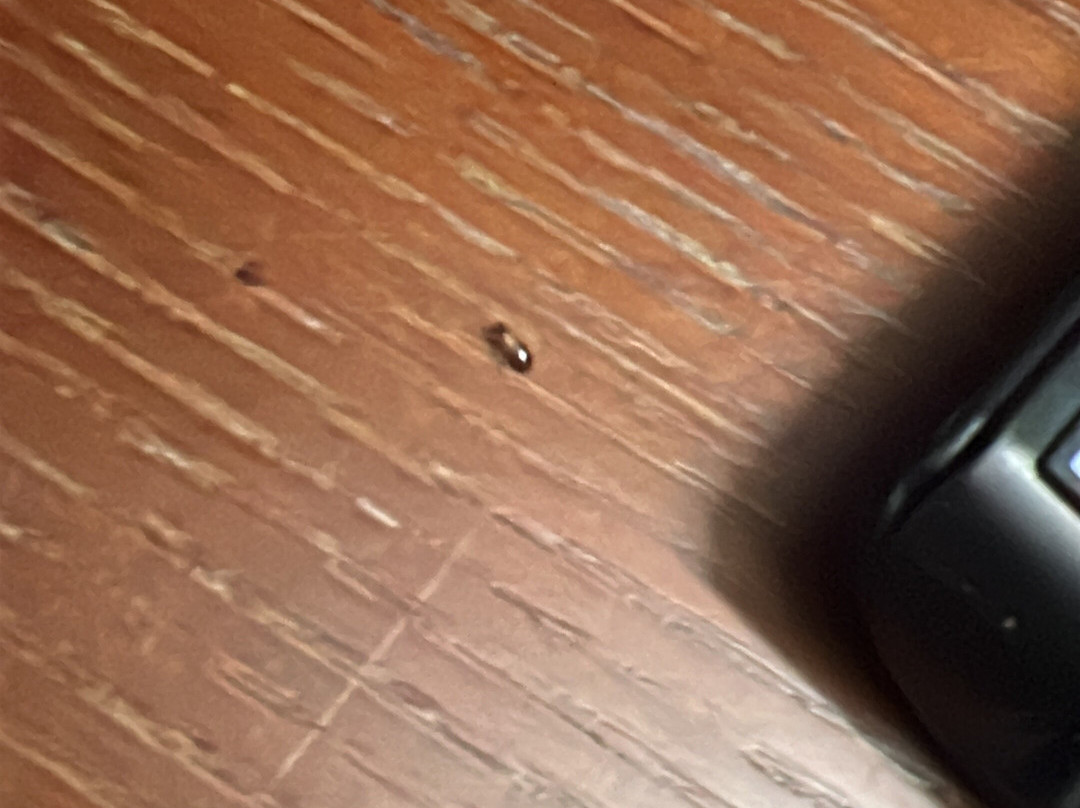 Seasons Netanya Hotel主图