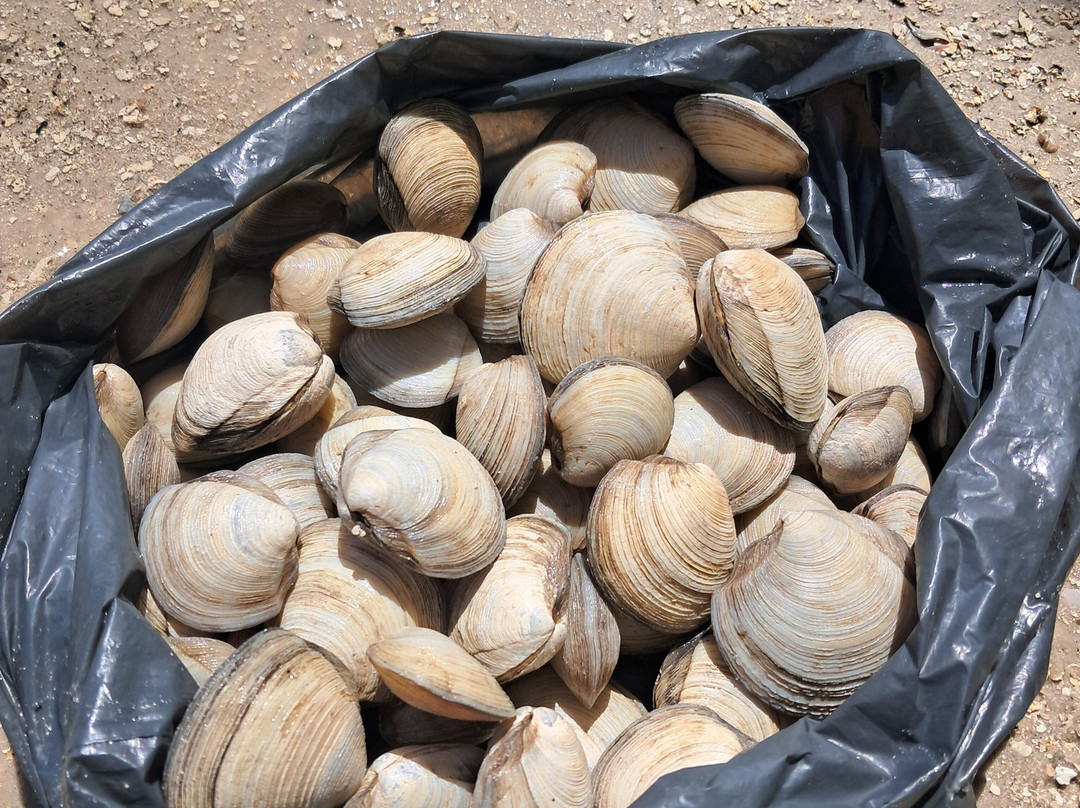 Mangue Riders-莫罗圣保罗必去景点