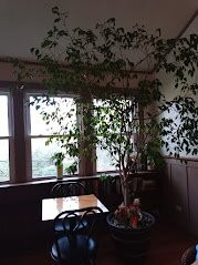 Vine Cottage Inn主图