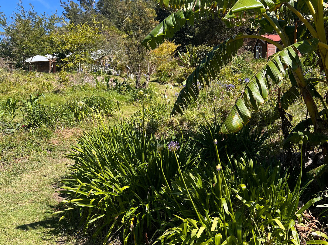 Gite Le Jacquanelle主图