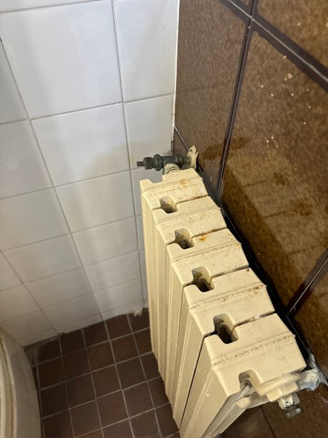 拉罗卡酒店-官方