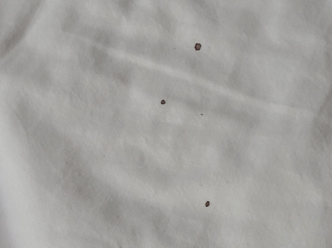 Country Inn & Suites by Radisson, Goodlettsville, TN主图