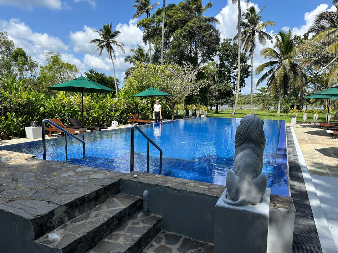 The Notary's House主图