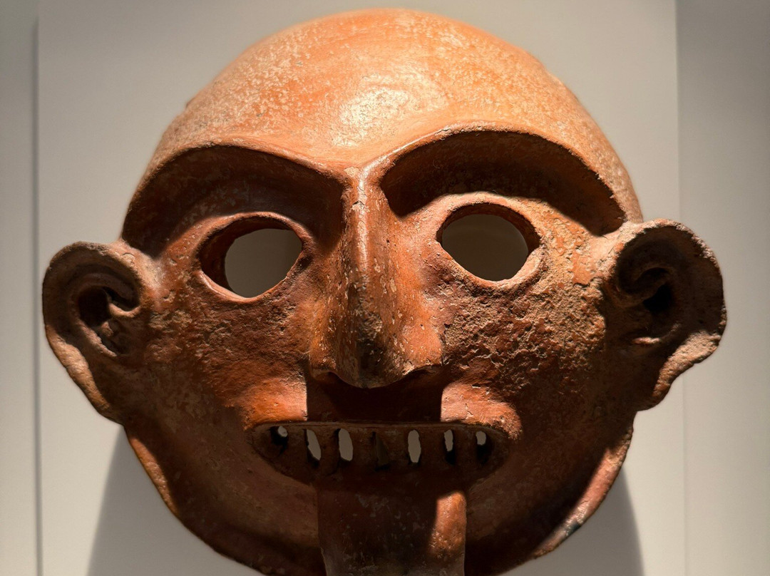 Museo de Arte Precolombino-库斯科必去景点