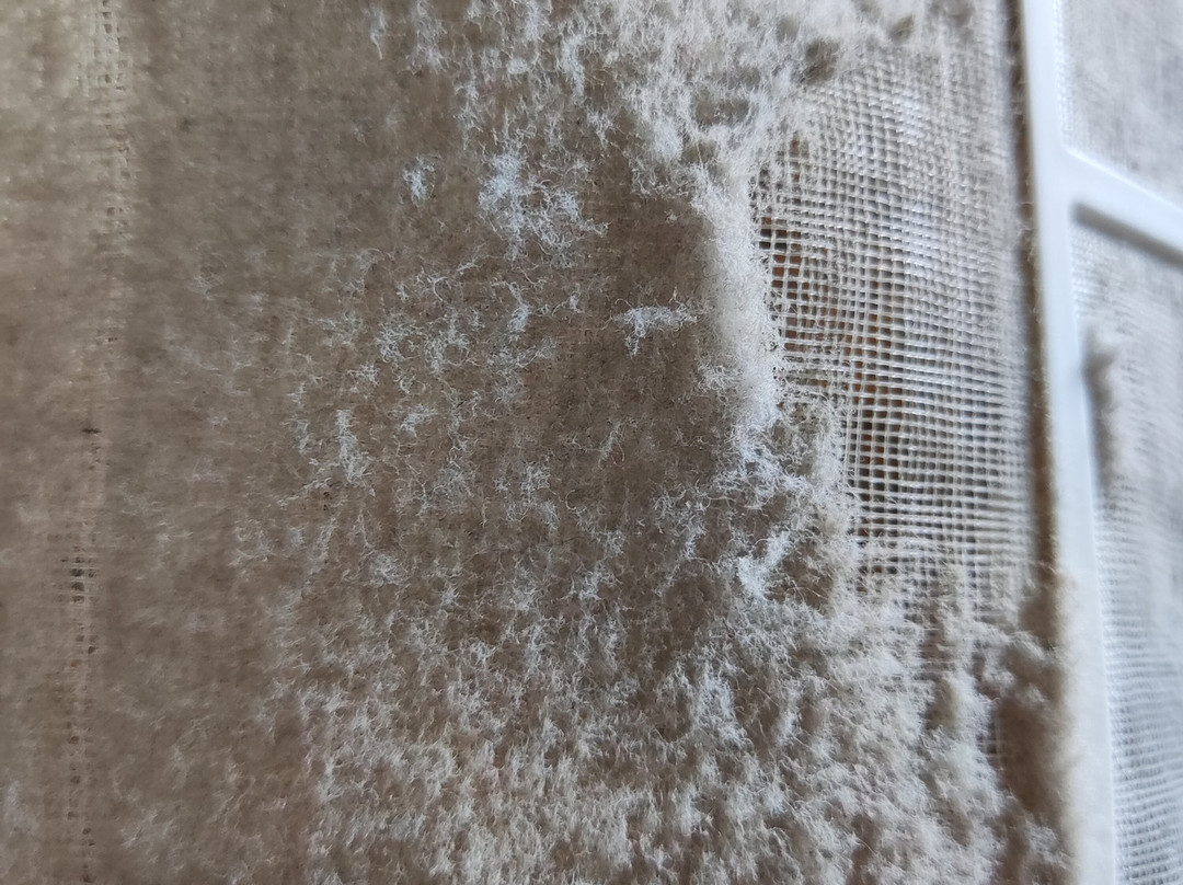 Brisa Da Praia Park Hotel主图