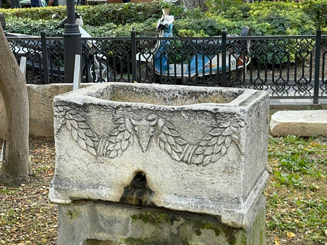 Kasım Yaman Arkeo Park-库萨达斯必去景点