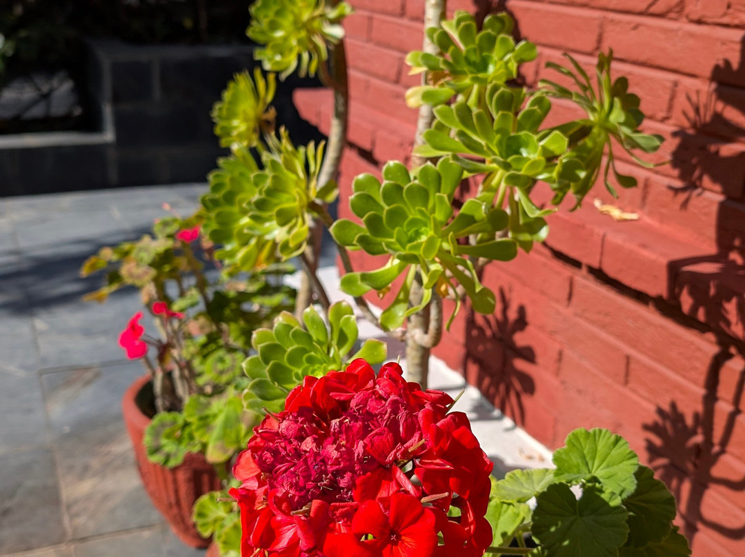 维克拉姆典雅酒店主图