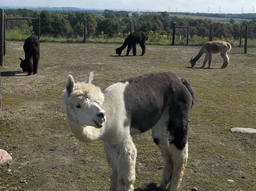 Northumberland Heights Wellness Retreat & Spa主图