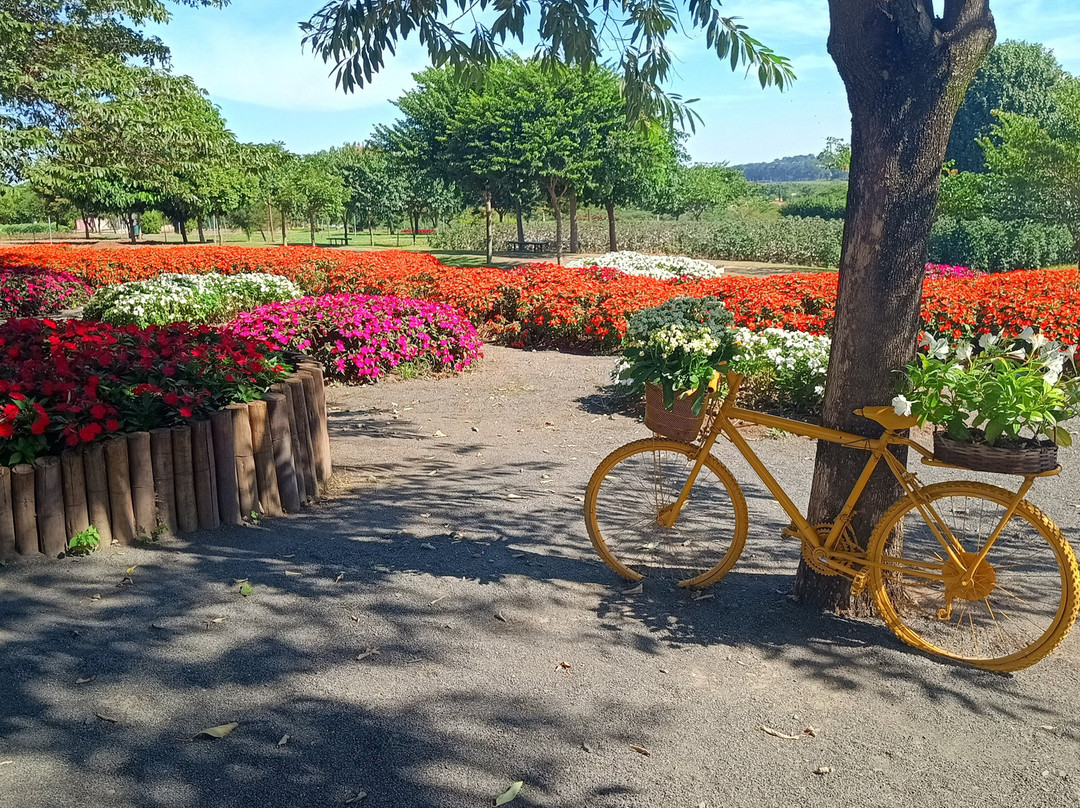 Bloemen Park景点图片