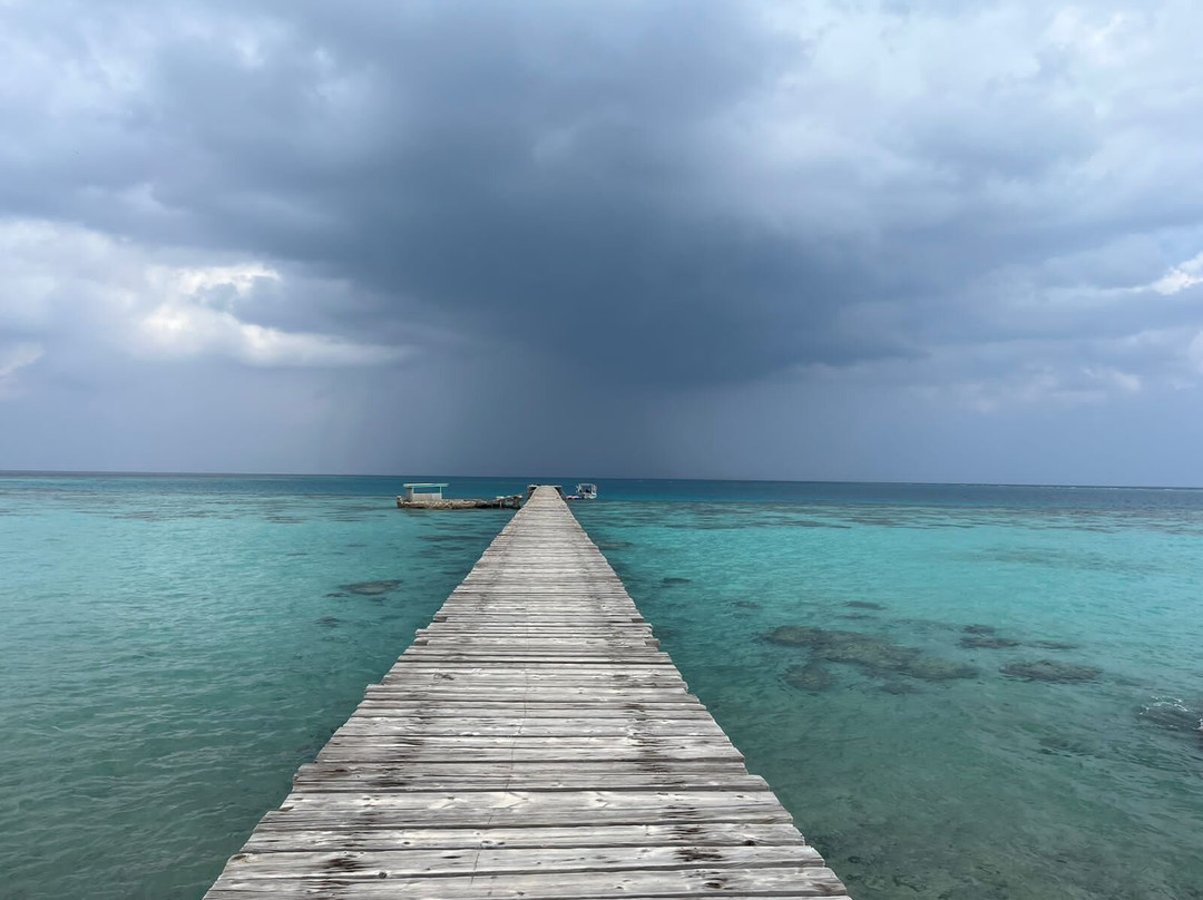 Red Sea Secret Diving Center-Port Sudan必去景点