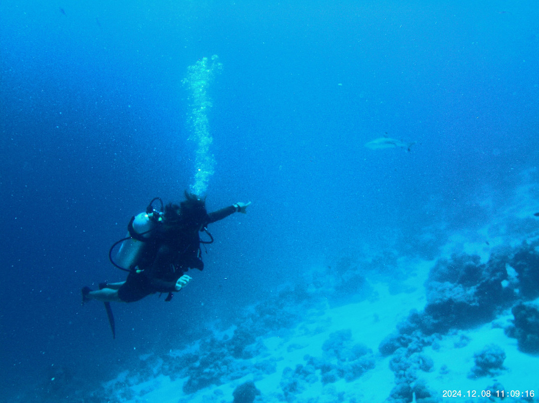 Meridis Dive and Water Sports at Cocogiri景点图片
