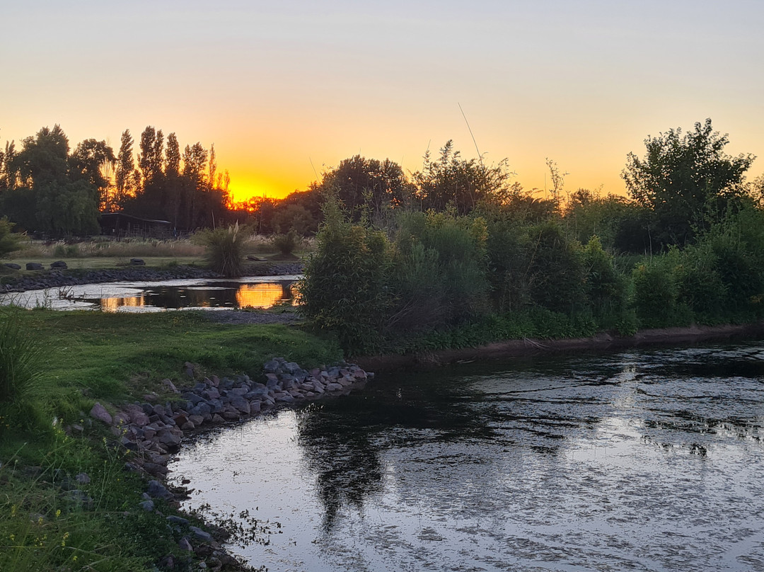 Estancia La Cinacina主图