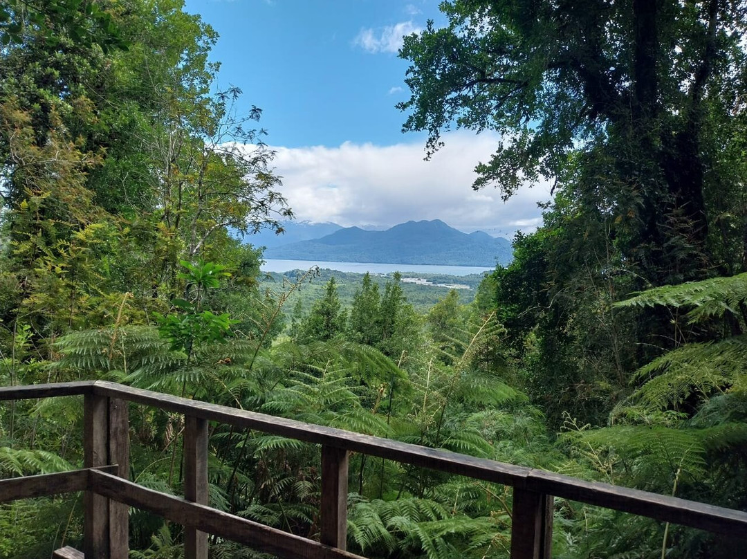 Ventisquero Colgante-Puyuhuapi必去景点