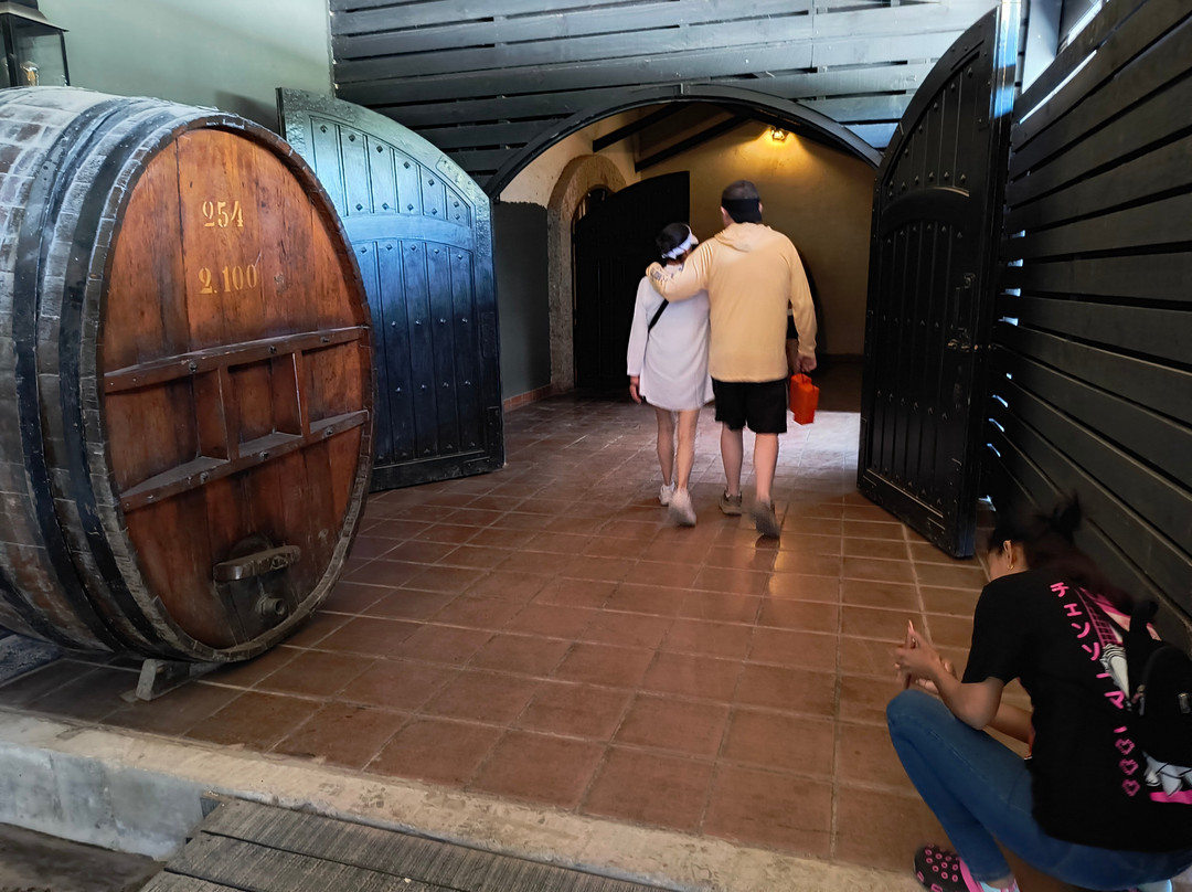 Santur-圣地亚哥必去景点