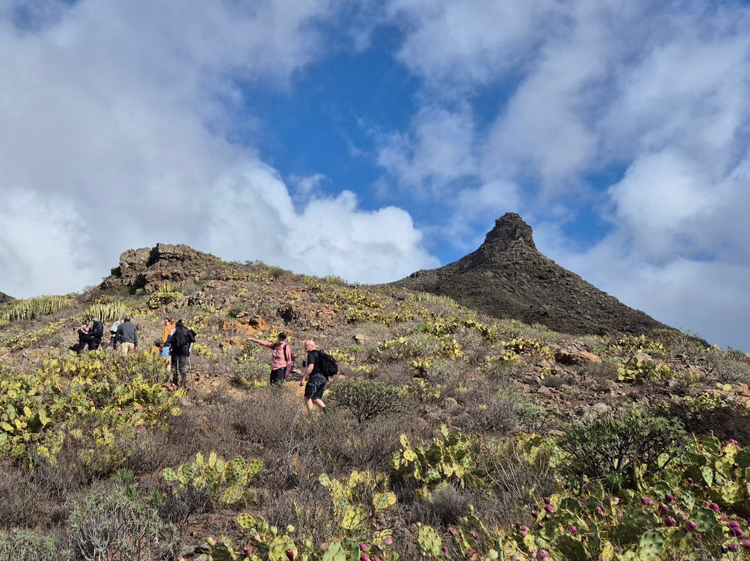 Aventura Wanderungen-特纳里夫必去景点