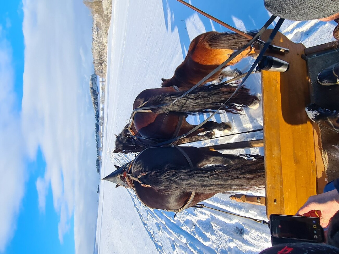 Rosszeit-Deilingen必去景点