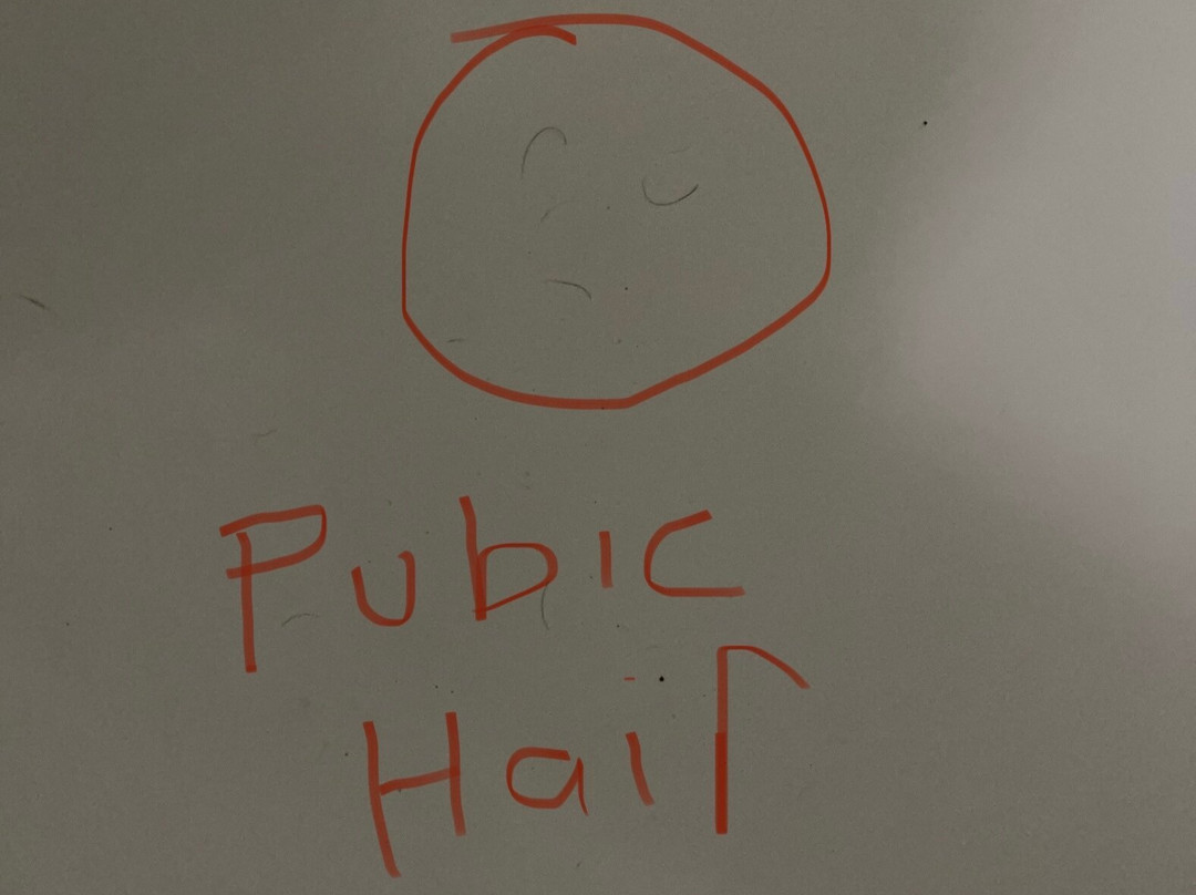 Quality Suites主图