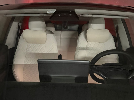 VIP Tesla Driver Paris-鲁瓦西必去景点