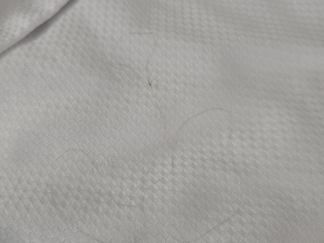 芝加哥麦特森别墅酒店主图