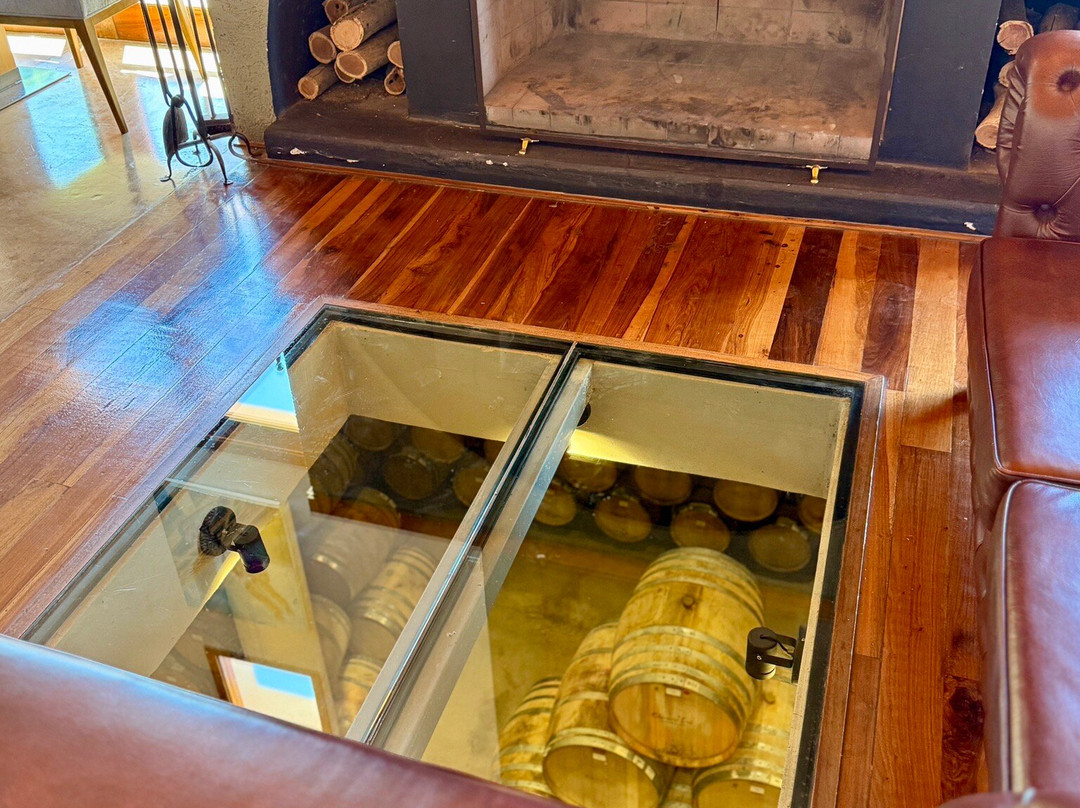 Claroscuro Bodega De Arte景点图片