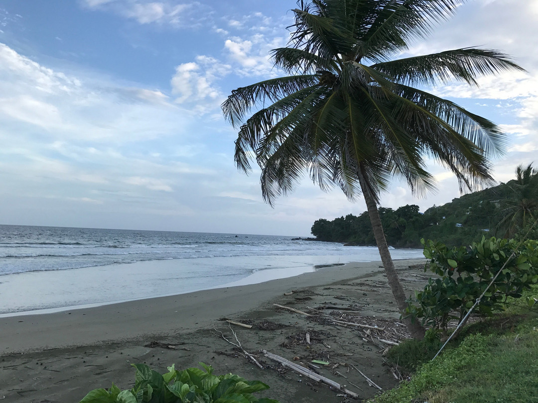 Windward Road